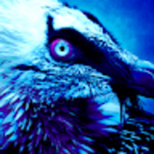 Meet your Posher, Com